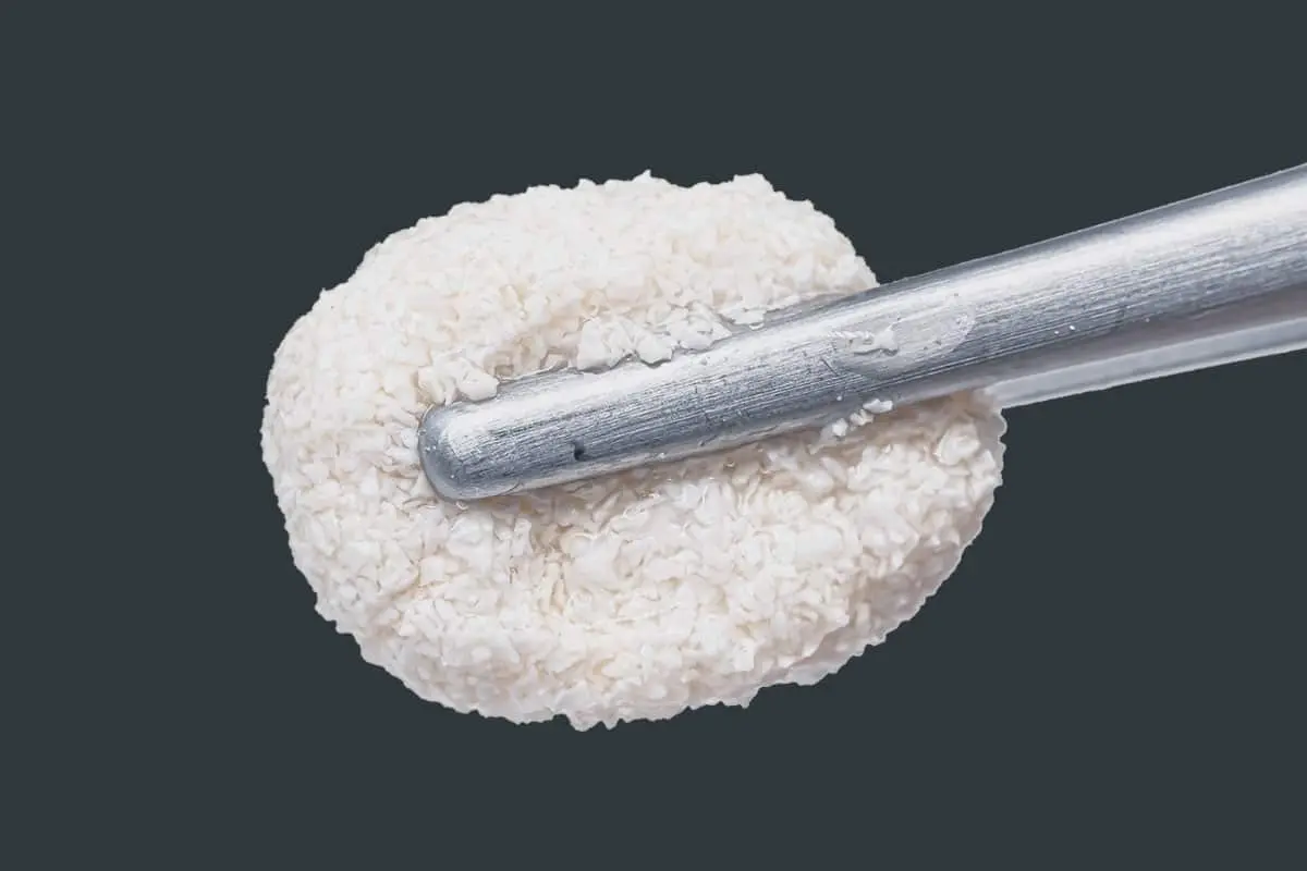 A soft ball of moistened cerabone +HyA granules holding together on the tip of a dental instrument.
