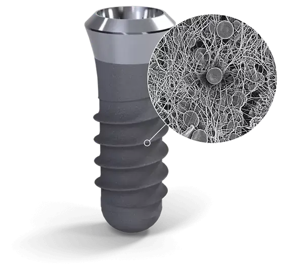 A Straumann dental implant. A magnified circle shows fine blood fibres and cells covering its surface.